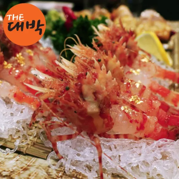 더대박 독도새우 닭새우 1box 활어 닭새우 500g 15미내외 