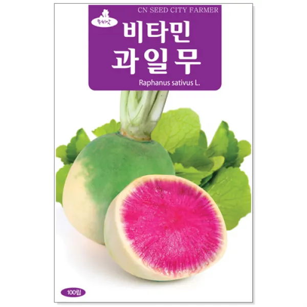 무 과일무씨앗 100립 무씨앗, 1개