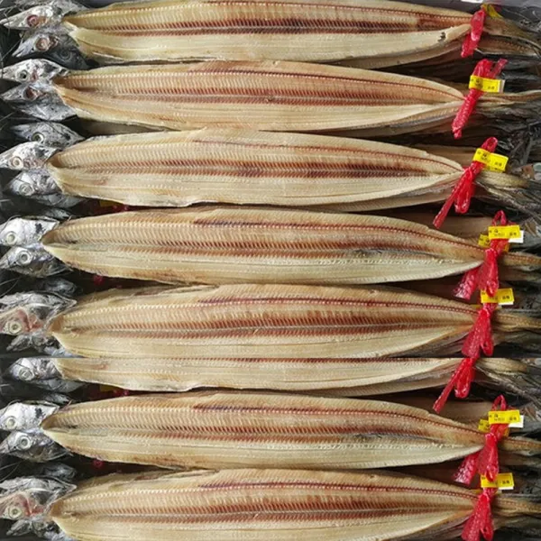 자갈치닷컴 반건조갈치 갈치, 1개, (중자) 20마리