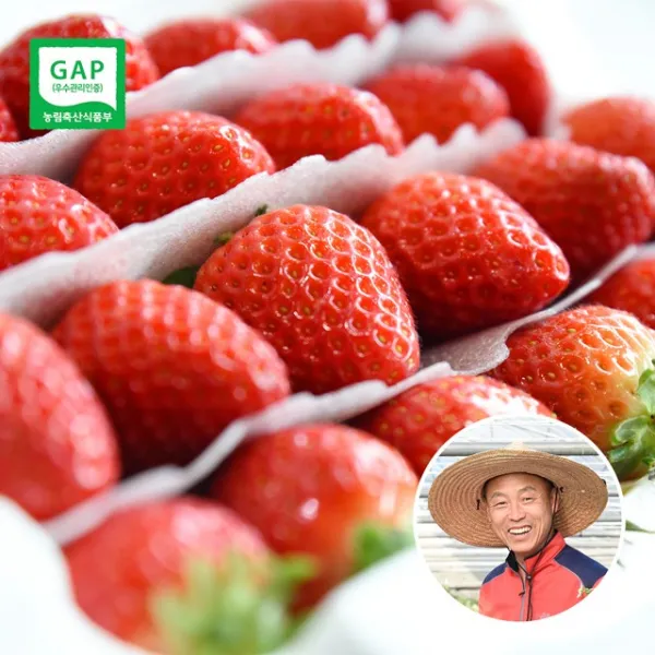 친환경팔도 산지직송 영동 생딸기 1kg 설향 단품
