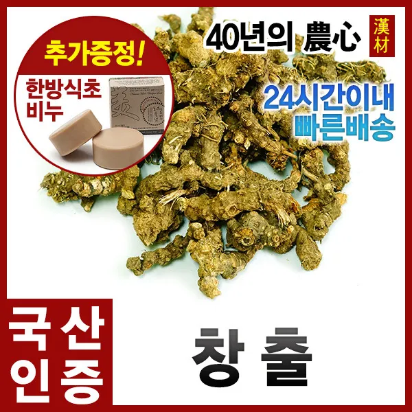 창출300g/삽주뿌리/창출차/백출/국산(강원홍천), 단품