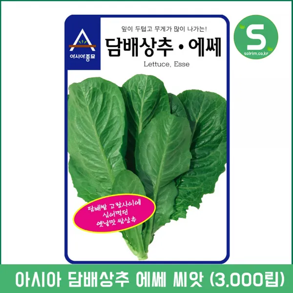 솔림텃밭몰 담배상추씨앗 3000립 에쎄 상추씨앗 쌈채소 샐러드