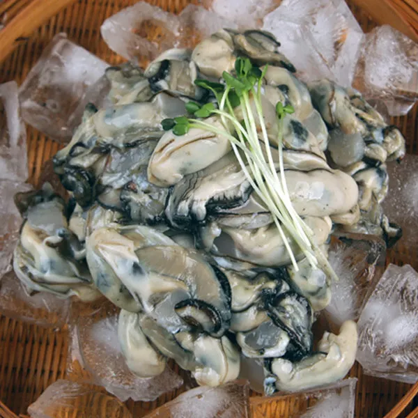 신선한 통영 생굴 3kg 중소 상세 설명 참조