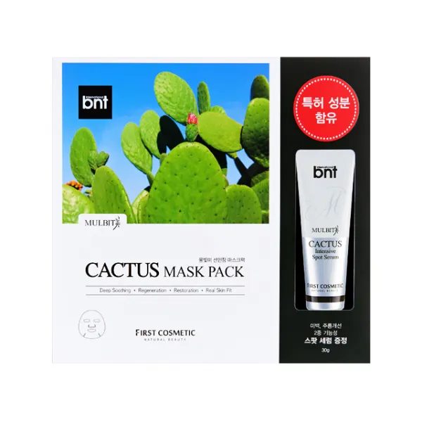 물빛미 선인장 마스크팩 스페셜 세트, 10개입, 1개