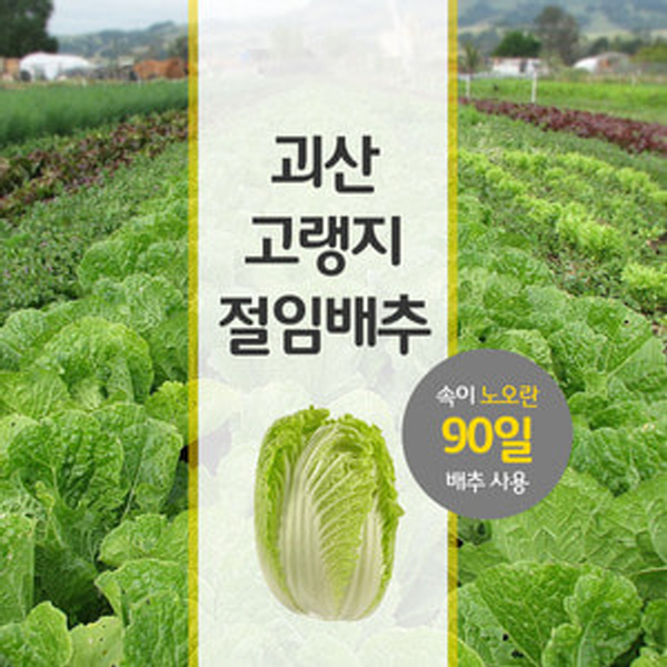 괴산절임배추 100년 절임배추 원조 괴산절임배추, 12월22일금도착