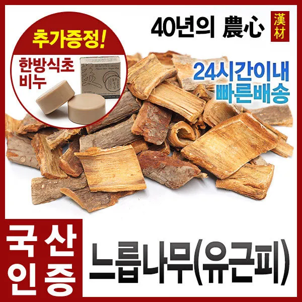 자애인- 느릅나무600g 유근피 국내산(강원영월), 단품