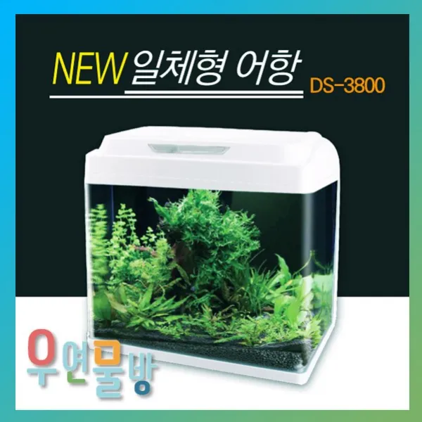  우연물방 New 일체형어항 Ds 3800 일체형수조 일체형수족관 1개