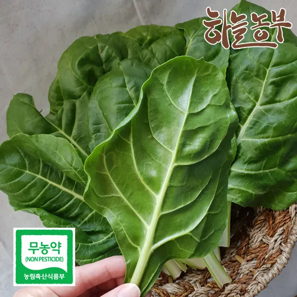 하늘농부 친환경 근대 250g, 1봉