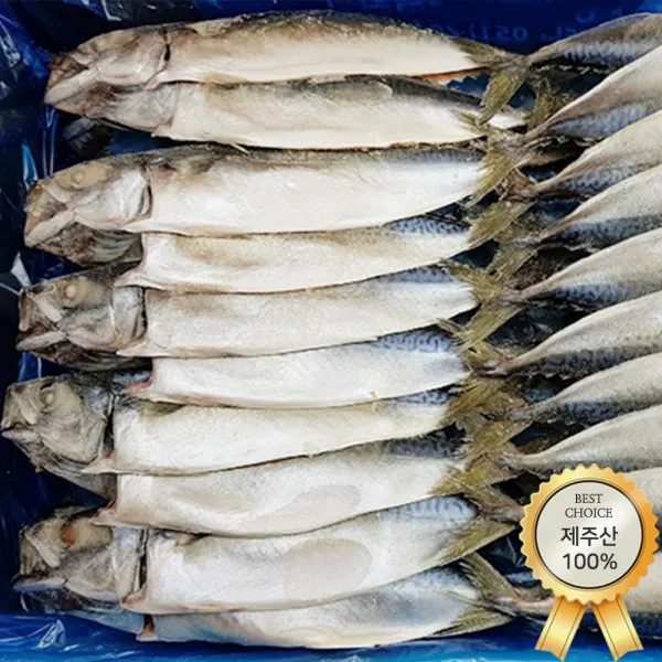 자갈치닷컴 국내산 간고등어 20마리 4.7kg, 1박스, 20마리(손질서대 서비스)