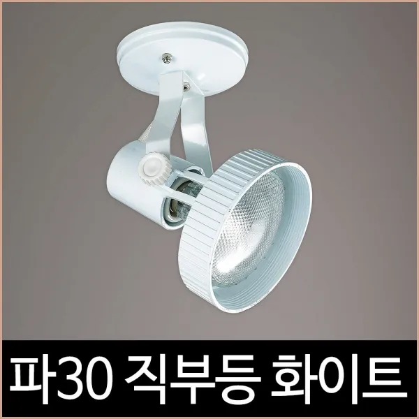 키고조명 파30 직부 화이트 백색 파삼공 PAR30 직부등 기구 LED, 단품