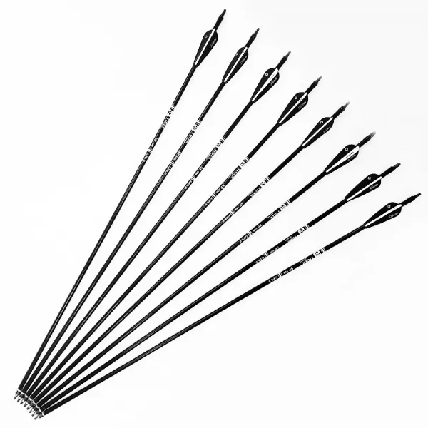 SP500 Fiberglass 카본화살