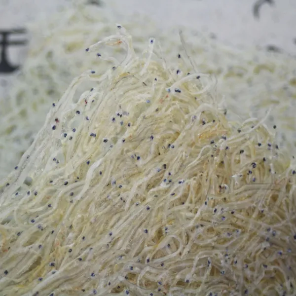 건푸드 국내산 서해안 실치 뱅어포, 10장, 140g