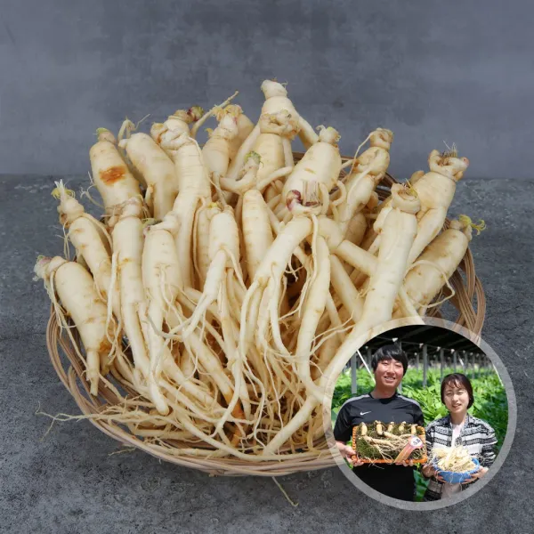 우리네농산물 금산부자인삼 세척삼 수삼 인삼, 1개, 600g(25-40편)