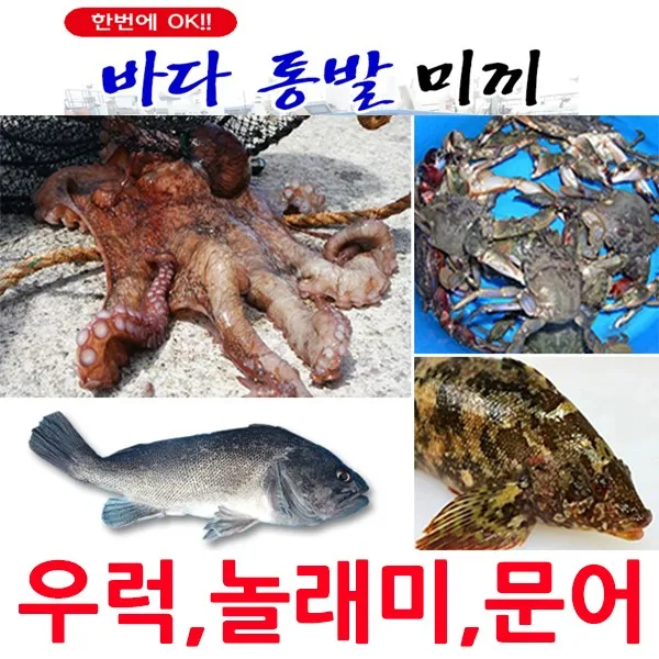 수풍조구 바다통발미끼 원형통발 통발집어제 방파제 갯바위 우럭 문어 놀래미