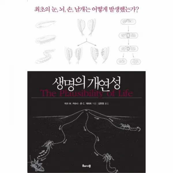 웅진북센생명의 개연성
