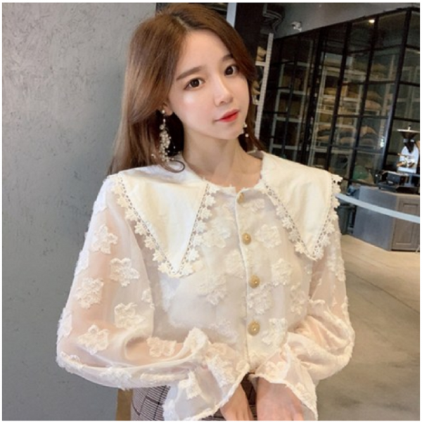 나라라오리 깃털 레이스 빅카라 쉬폰블라우스