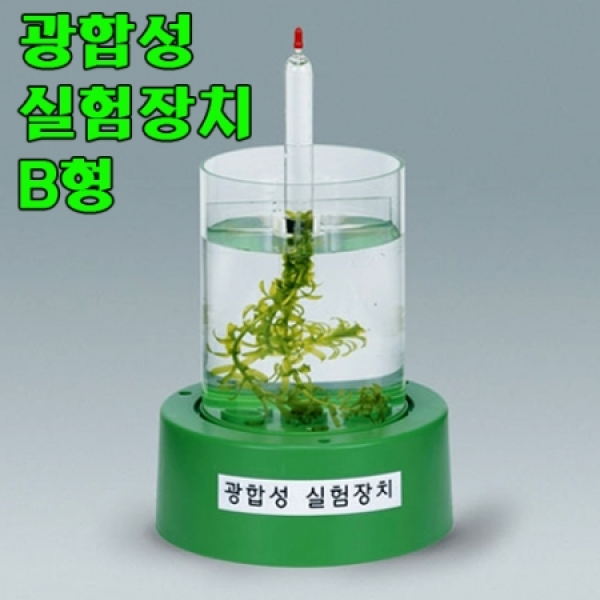 광합성실험장치(B형)