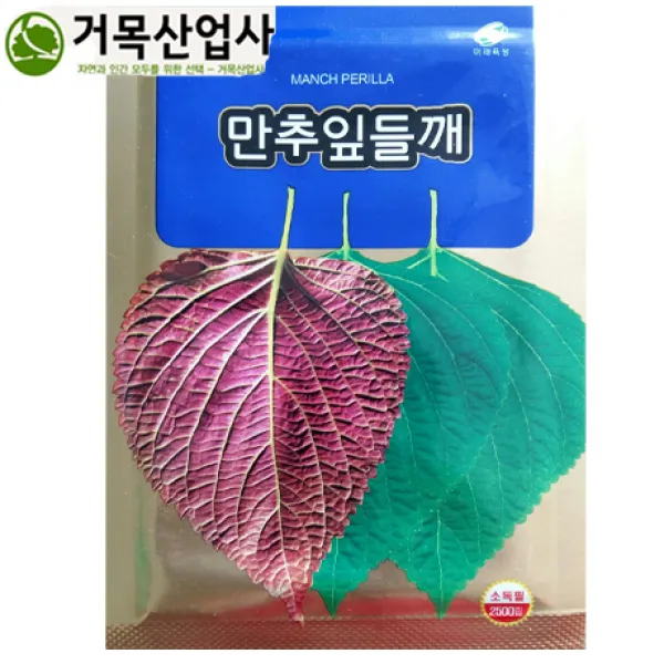 미래종묘 채소씨앗, O-14.만추잎들깨, 1