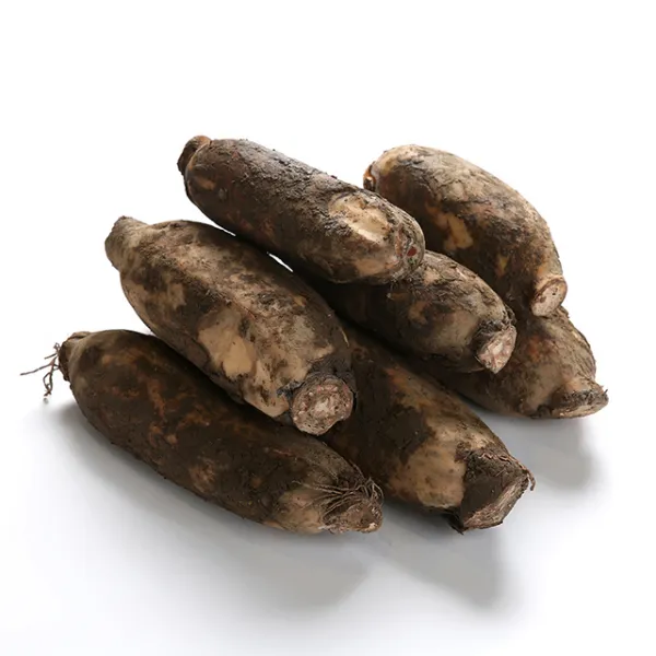 친환경팔도 한뿌리 햇 흙연근 (중)1kg 2kg, (중)2kg