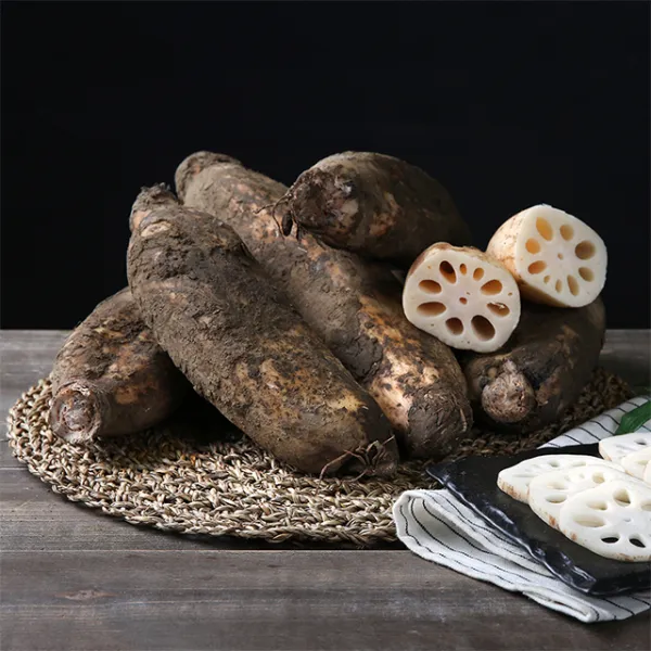 친환경팔도 한뿌리 햇 흙연근 (특)1kg 2kg, (특)2kg