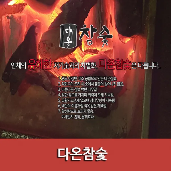 다온 비장 참숯 2kg 고기숯 캠핑숯 바베큐숯 공기정화숯 업소용숯, 1개
