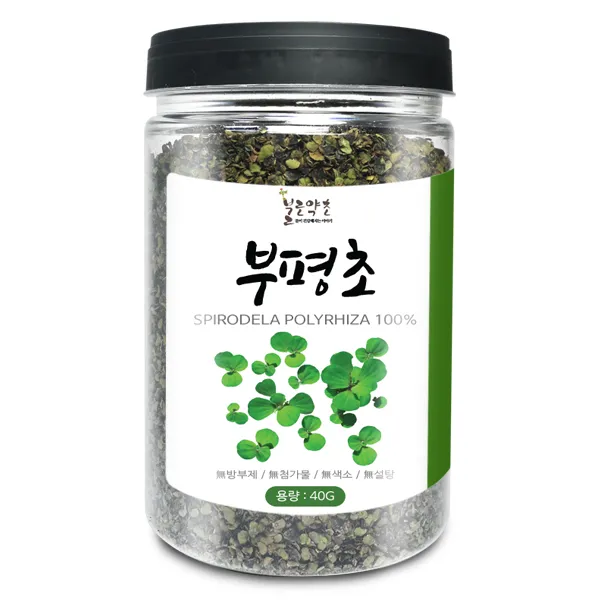 부평초(국산) 40g(통) 건조 부평초 개구리밥 한방 차, 부평초[국산] 40g[통]