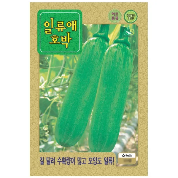 씨앗 호박 일류애호박 10립