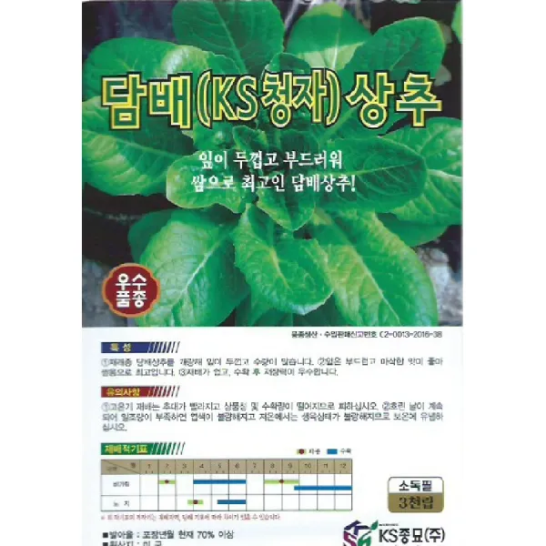 씨앗 담배상추 3000립
