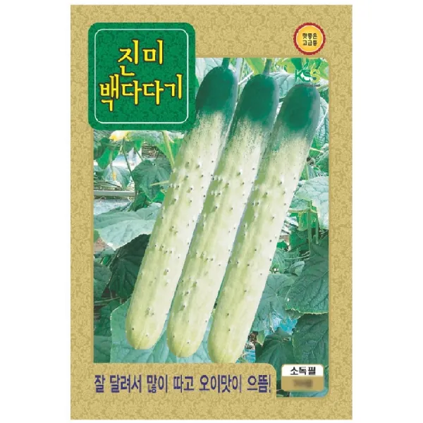 씨앗 오이 진미백다다기 50립