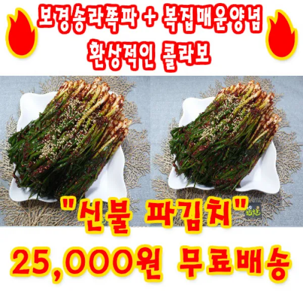  복집 !!신상!!엄마손"매운파김치" 1.5kg 1봉