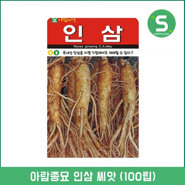 인삼씨앗 100립 인삼 약초씨앗 국내산 햇종자 약초씨