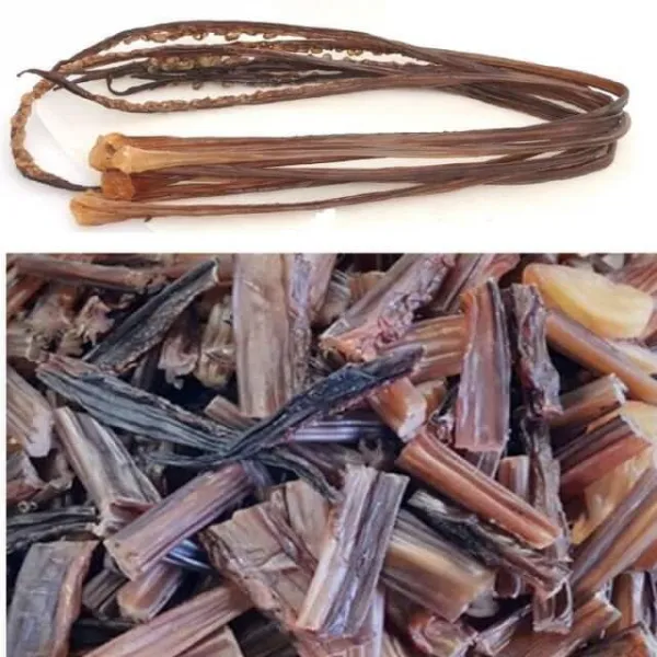 오족 통족 대왕오징어 건어물광장 가문어 400g 장족, 1