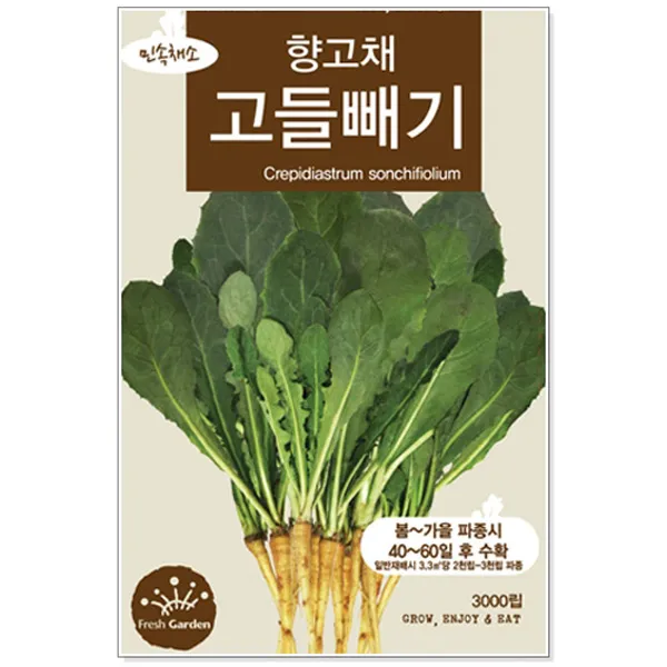 청농종묘 곰취 씨앗 100립 곰치 곰피 곰취나물 취나물 곰취씨, 15_고들빼기(3000립 )