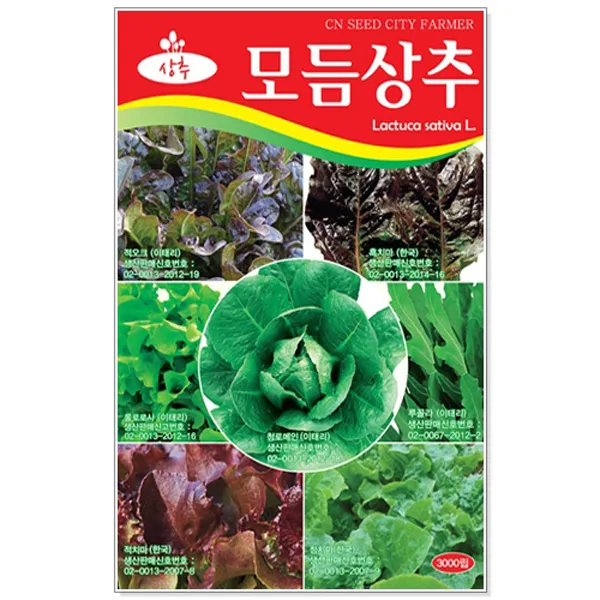 청농종묘 곰취 씨앗 100립 곰치 곰피 곰취나물 취나물 곰취씨, 07_모듬상추(3000립)