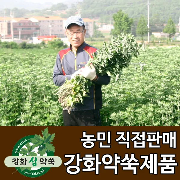 강화도토박이 강화약쑥 강화사자발쑥 강화사자발약쑥 쑥즙, 1박스, 14. 강화약쑥미니뜸(강) 180개입