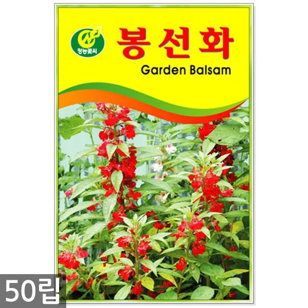 만수국 50립 - 금송화 금잔화 꽃씨 꽃씨앗 씨앗 씨 야생화씨앗 만수국씨앗, 11_청농_봉선화(50립)