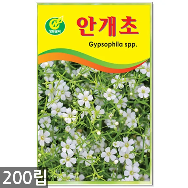 만수국 50립 - 금송화 금잔화 꽃씨 꽃씨앗 씨앗 씨 야생화씨앗 만수국씨앗, 16_청농_안개초(200립)