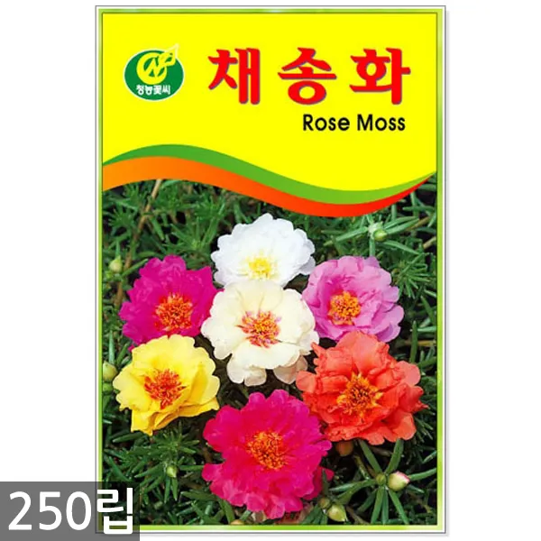 만수국 50립 - 금송화 금잔화 꽃씨 꽃씨앗 씨앗 씨 야생화씨앗 만수국씨앗, 18_청농_채송화(250립)