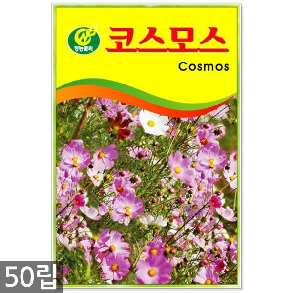 만수국 50립 - 금송화 금잔화 꽃씨 꽃씨앗 씨앗 씨 야생화씨앗 만수국씨앗, 19_청농_코스모스(50립)