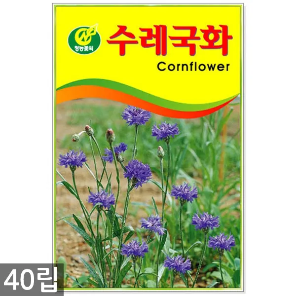 만수국 50립 - 금송화 금잔화 꽃씨 꽃씨앗 씨앗 씨 야생화씨앗 만수국씨앗, 15_청농_수레국화(40립)