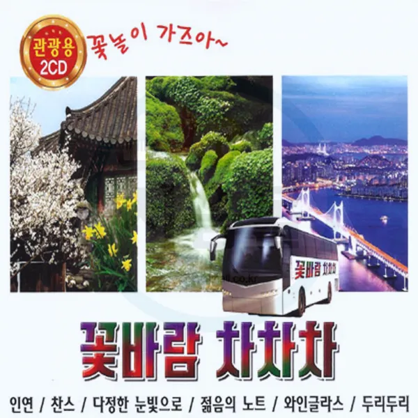 2CD 꽃바람 차차차-관광용 7080 트로트 디스코 메들리 인연 찬스 젊은의노트 와인글라스 두리두리 남행열차