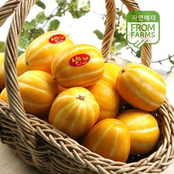 경북 성주 박종환님의 정품참외 1kgx2봉 (3~5개), 1box