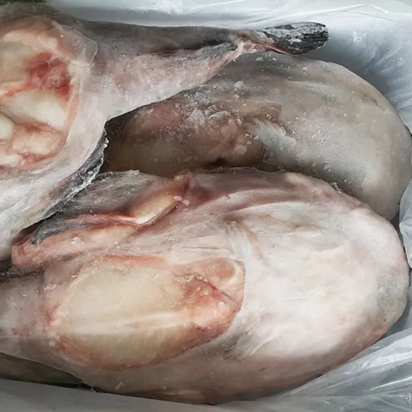 자갈치닷컴 아귀 10kg, 1개, 8마리 (10kg)