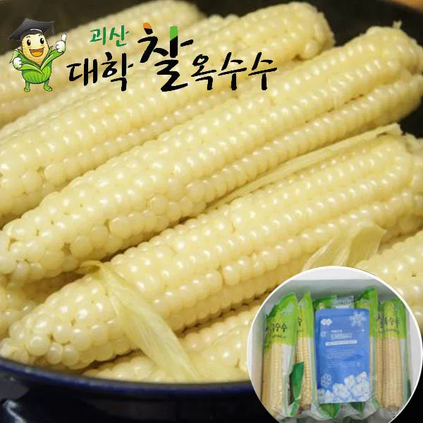 모단농장 냉동 괴산대학찰옥수수_7월초 순차발송 36개 못난이3k