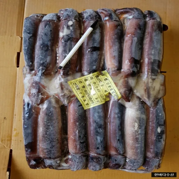 한바다수산 국내산 냉동오징어 8.5kg 선동오징어 1개 선동오징어 소
