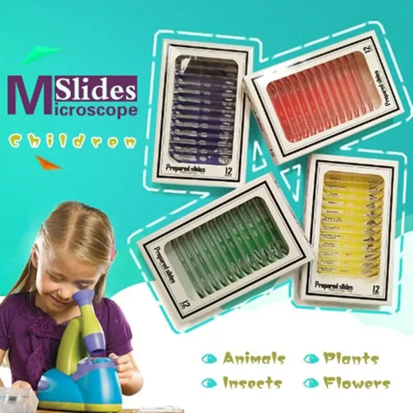 현미경 표본 12종 Set 곤충 Rs1