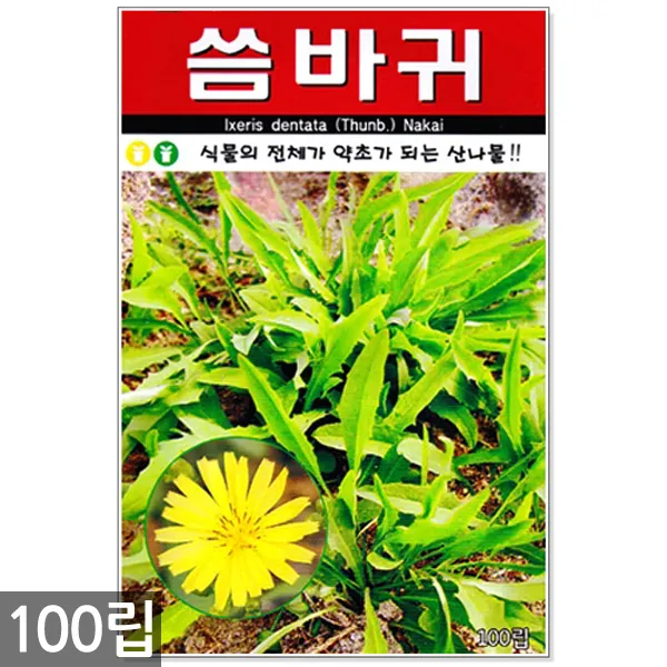 5종 모듬 치커리 씨앗 1500립 / 채소씨앗 채소씨 엔다이브 쌈채소씨앗, 04_씀바귀(100립)