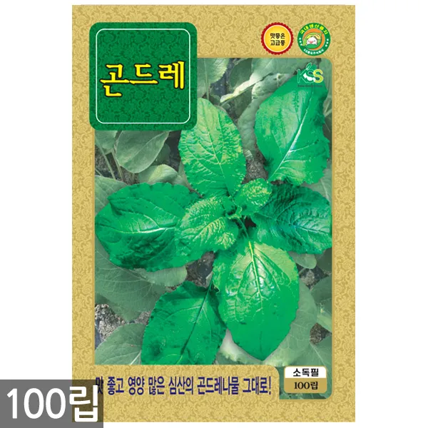 5종 모듬 치커리 씨앗 1500립 / 채소씨앗 채소씨 엔다이브 쌈채소씨앗, 01_곤드레(100립)