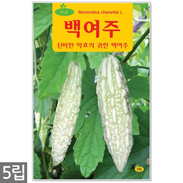 5종 모듬 치커리 씨앗 1500립 / 채소씨앗 채소씨 엔다이브 쌈채소씨앗, 11_백여주(5립)