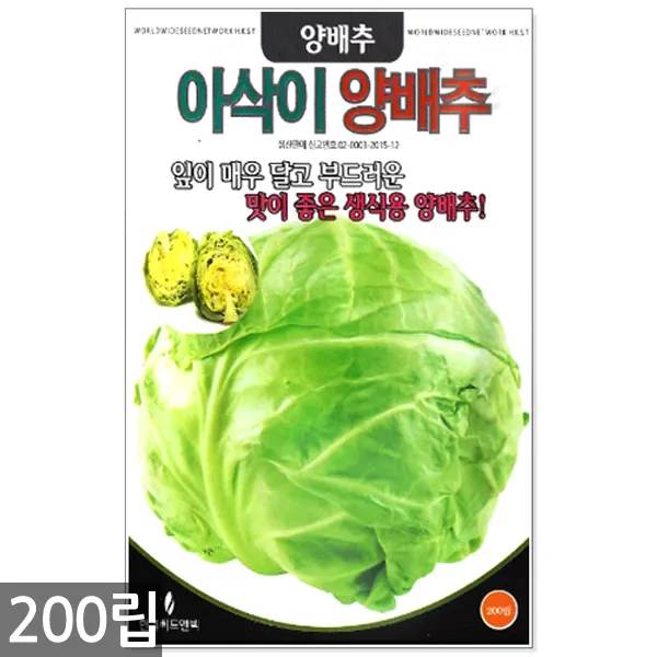 5종 모듬 치커리 씨앗 1500립 / 채소씨앗 채소씨 엔다이브 쌈채소씨앗, 08_아삭이양배추(200립)
